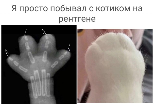 Бредзона 19.12.20