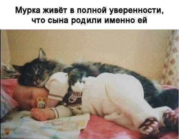 15161019.jpg
