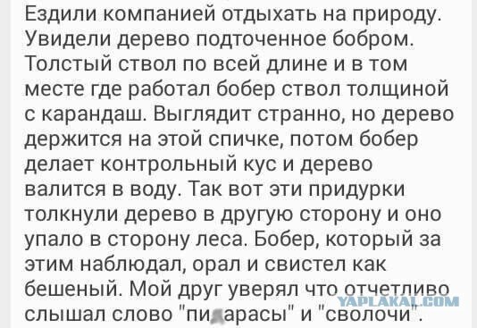 Дебилизмы из сети 8.02.21