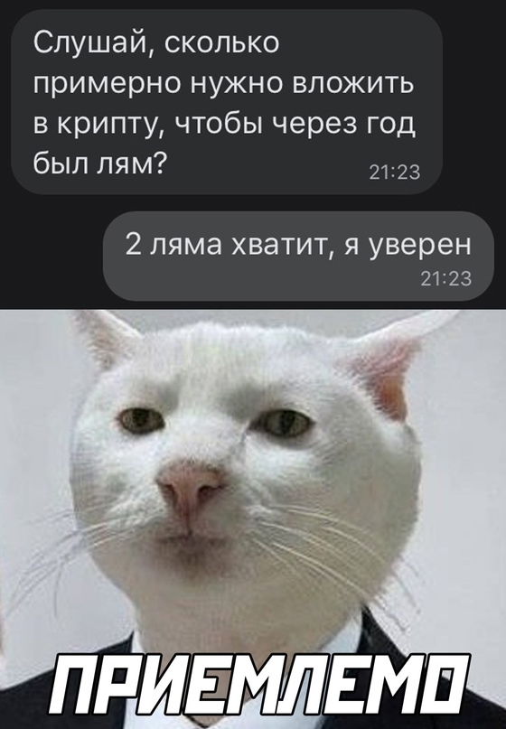 Весёлый полтишок 18.05