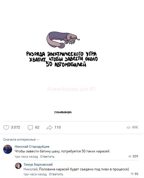 Комментарии к постам в разных группах, которые вызвали улыбку