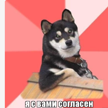 Дизайнерское агентство отказалось делать логотип для ЛГБТ-группы, назвав заказчиков «пидор@сами»