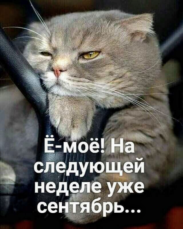 Картинки и мемы для настроения 26.08.2021