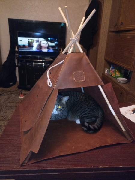 Кошкин дом