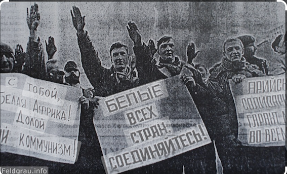 Допрос нацика