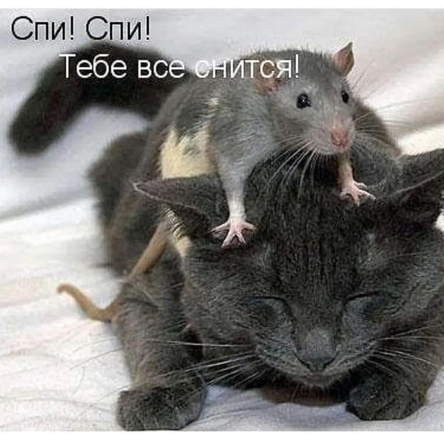 Улыбнись, не грусти!