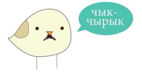 Псто одной картинки в честь Котовторника