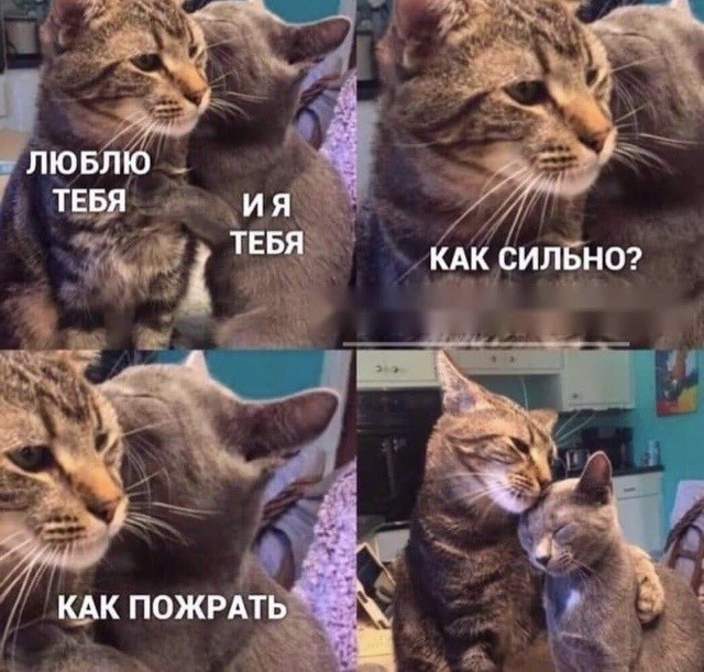Так себе картинки 04.05.22