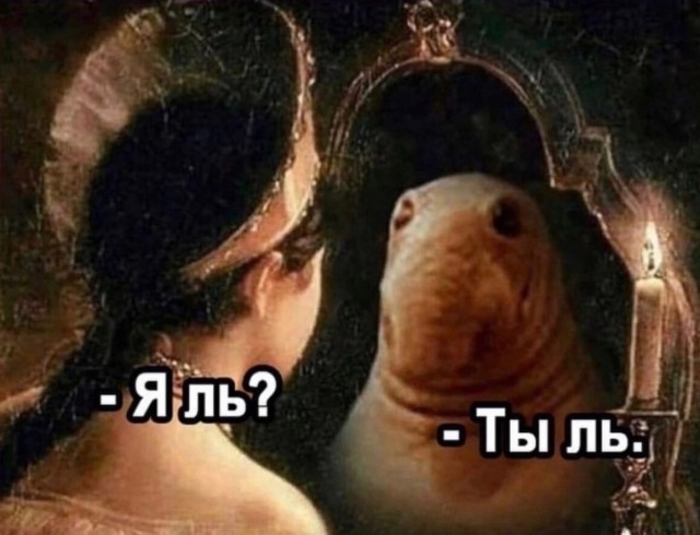 Картинки и мемы, выходные продолжаются