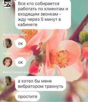 Пятница. И немного слегка пошлых картинок с надписями и без 16+ (17.02)
