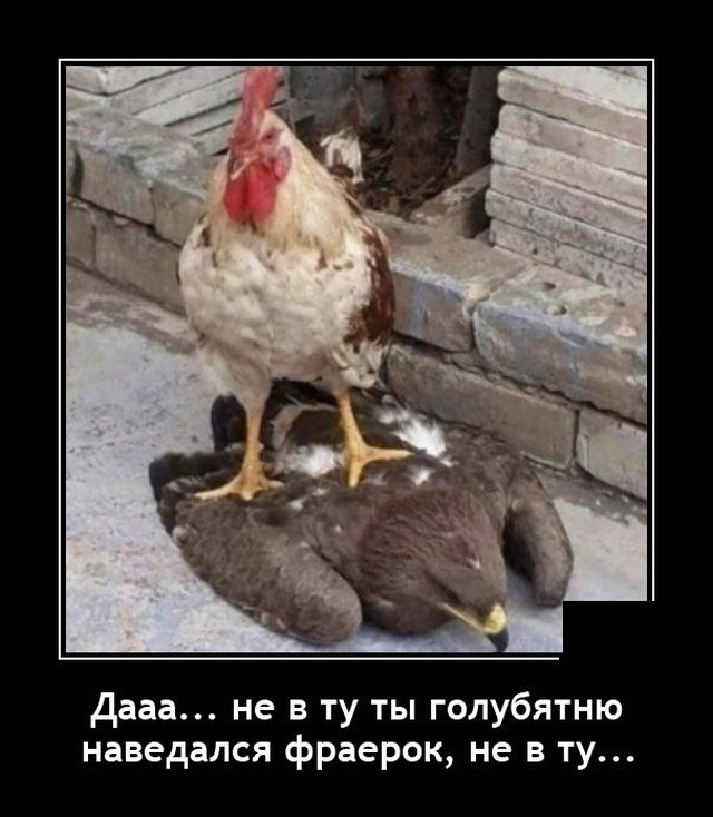 Муж ушел к моей сестре