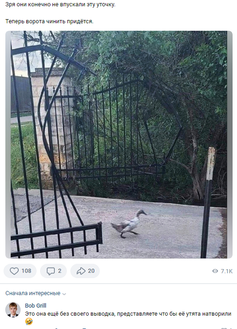 Из вк