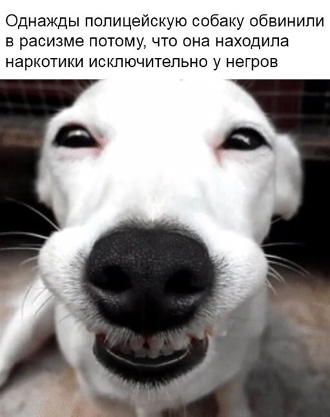 45 пятничных картинок 28.07.2023