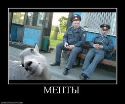 Виновные в разврате в омском клубе найдены