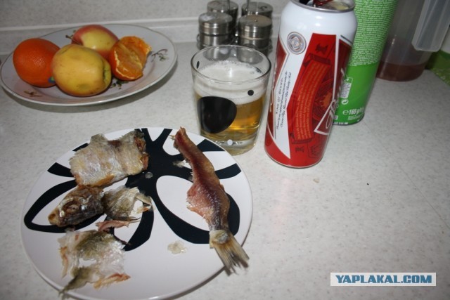 Обычное субботнее утро! 18+