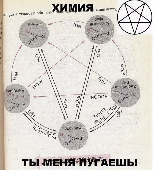 Химия и жизнь