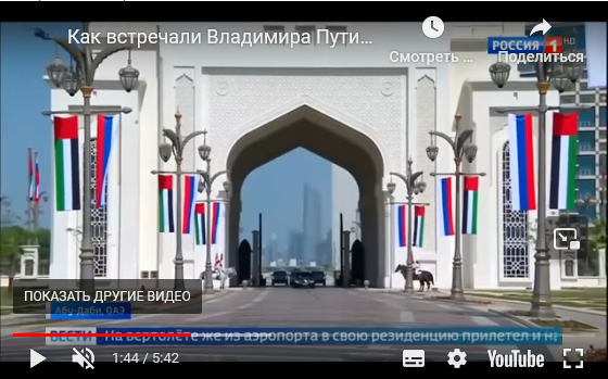 Так в ОАЭ встречают российскую делегацию