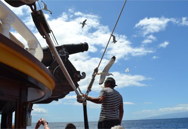 Хочу дачу на канарах!