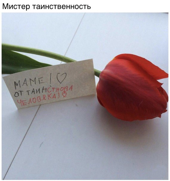 Доставка баянов