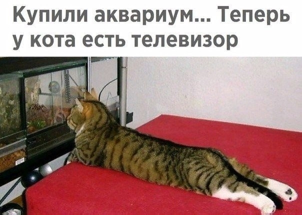 Баяны со старого телефона. Часть вторая