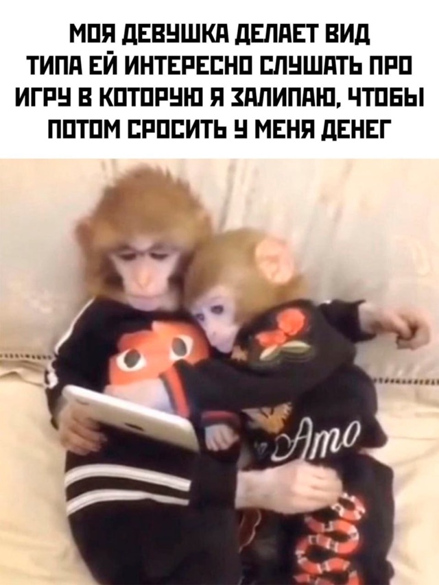 Весёлый полтишок 10.06.24