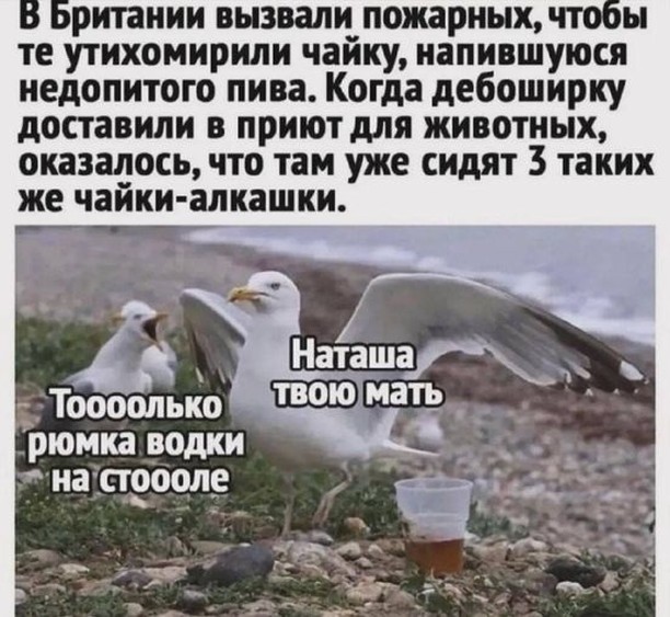 Завалялось тут случайно немного забавных картинок