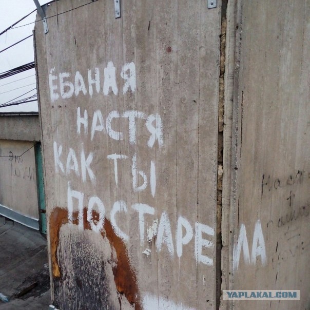 Настя, брат!