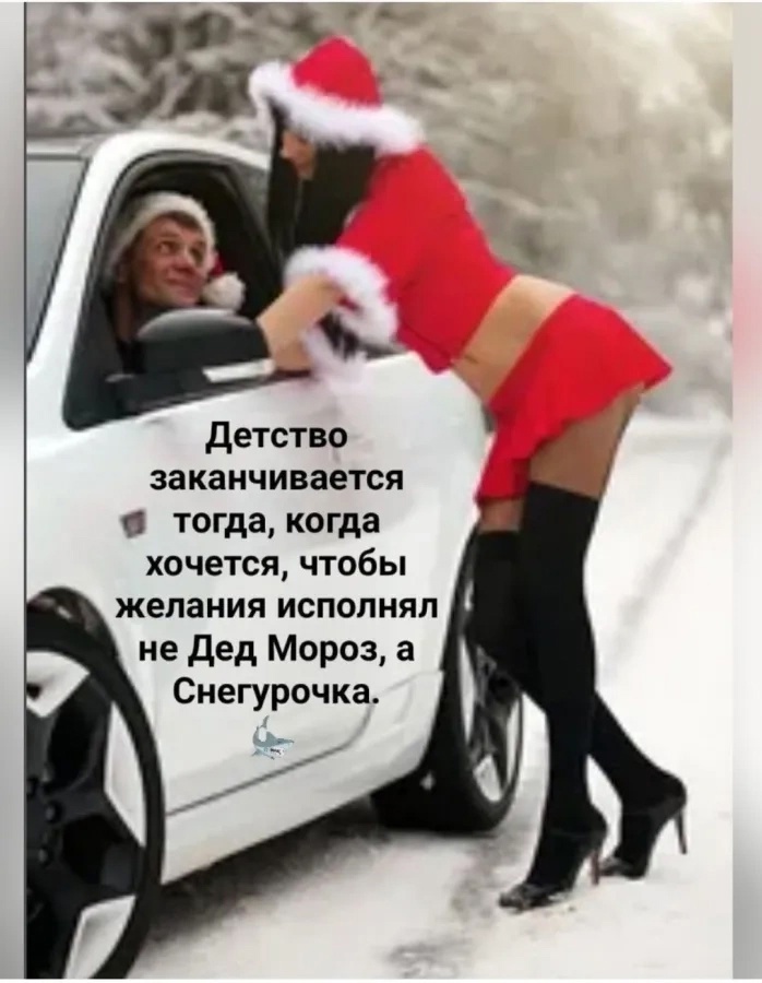 Так себе картинки 29.12.24