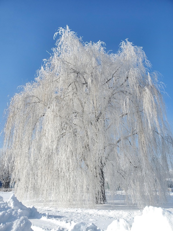 Рождественское волшебство - 50