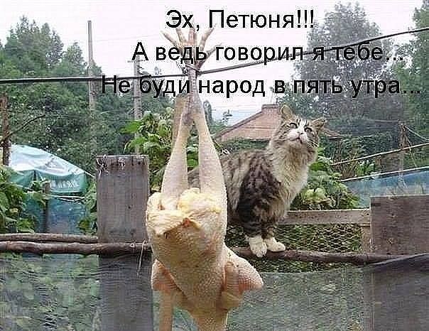 Что-то много грустного стало на Япе, может улыбнет?