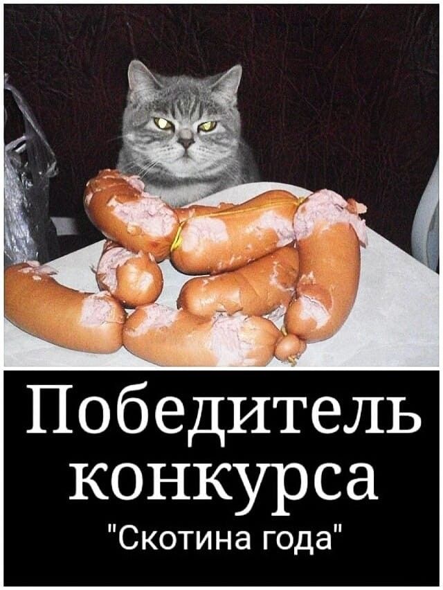 Картинки разные с надписями и без