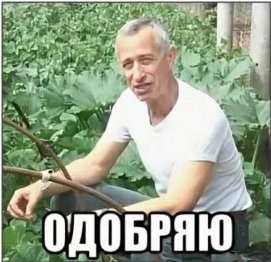 Дача на удаленке