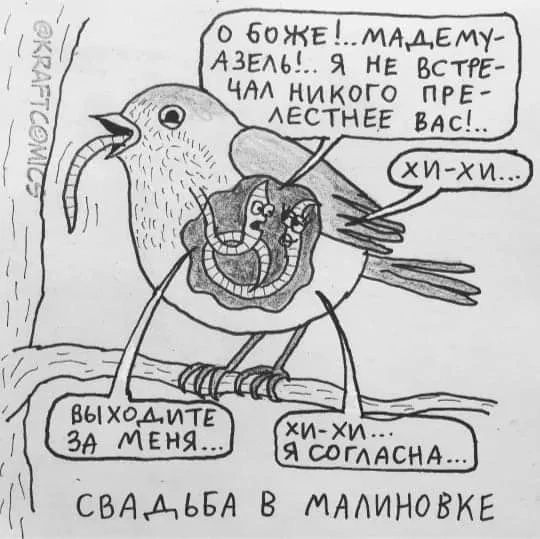 Праздничная дичь. Ударная доза