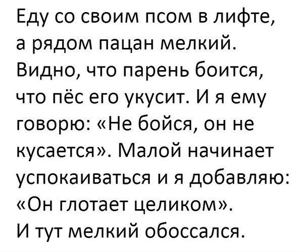 Пятничная дичь