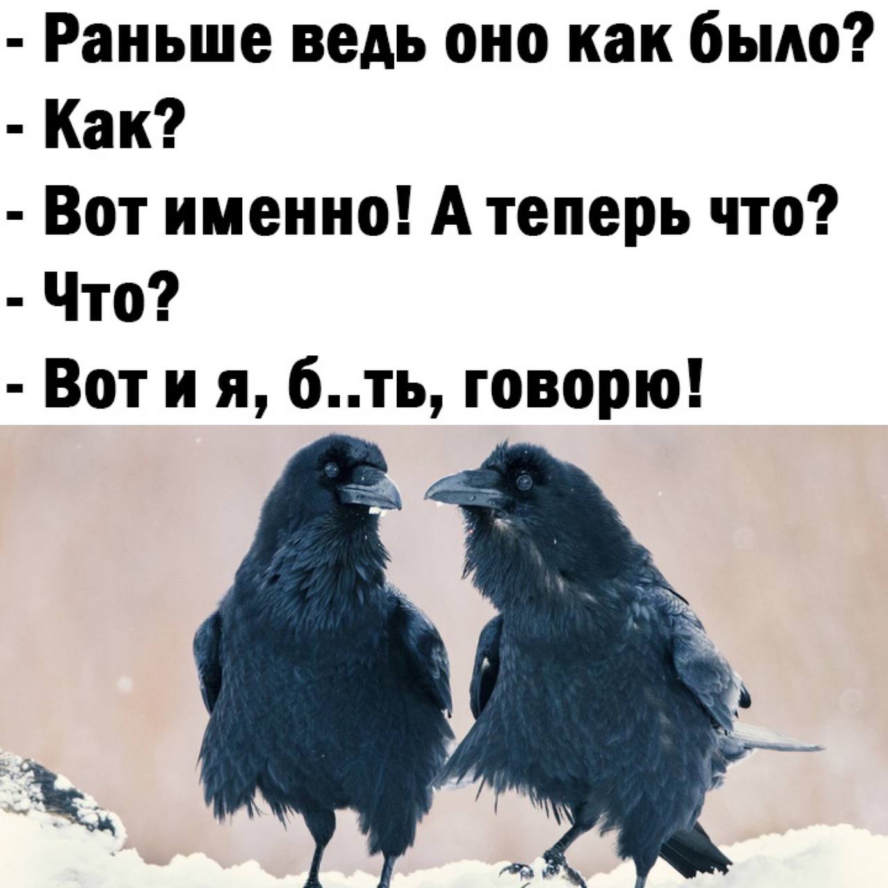 Картинки для деградации-6 (разной степени свежести)