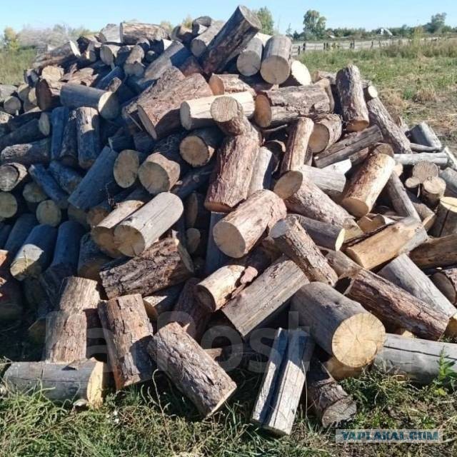 Шаловливое