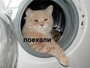 5 августа 1930 родился Нил Армстронг — первый человек, ступивший на Луну