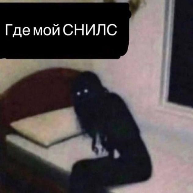 Зумерша расплакалась и довела себя до панической атаки из-за СНИЛСа