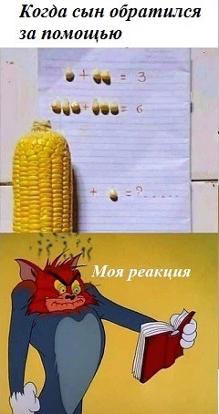 Веселое настроение в картинках 16.08.25