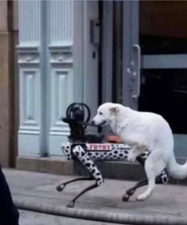 Так себе картинки 24.09.25