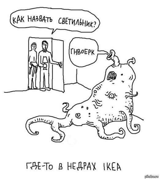 Китайский студент перешёл на кошачий корм из-за высокой стоимости жизни в Швейцарии