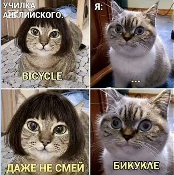 Физичка объясняет – что почём, хоккей с мячом