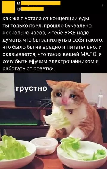 Картиночки, баянчики 13 февраля