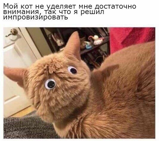 Куча мала 15, последняя