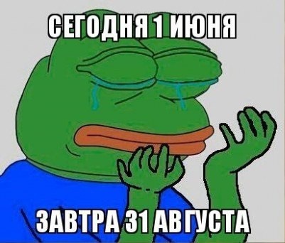 Наконец то лето