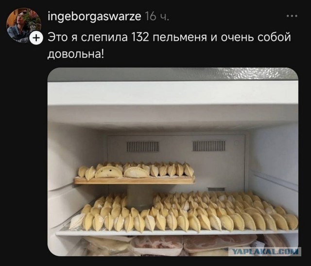Веселые картинки в маленькую пятницу (08.07)