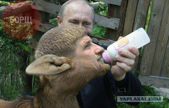 Ураза-байрам 2013