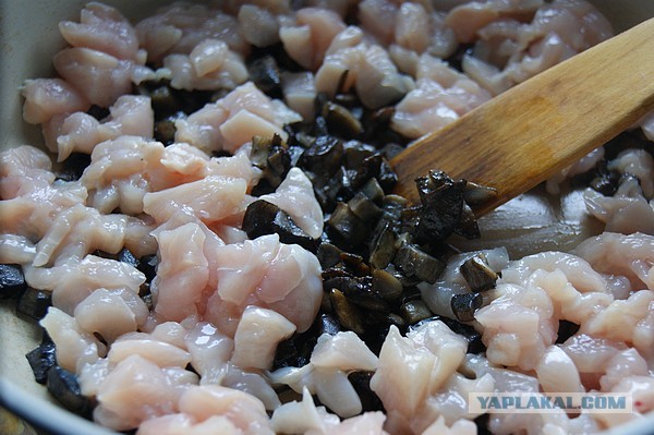 Ракушки фаршированные, Подосиновиками и курицей