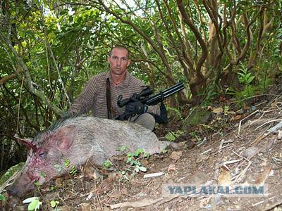 Пневматические винтовки