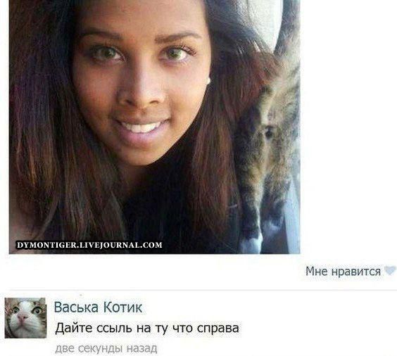 Смешные комментарии из соц. сетей